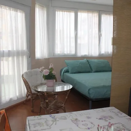 Apartamentos Torre Del Mar 公寓 *